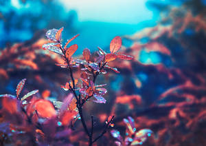 After rainy night by Thunderi After rainy night by Thunderi