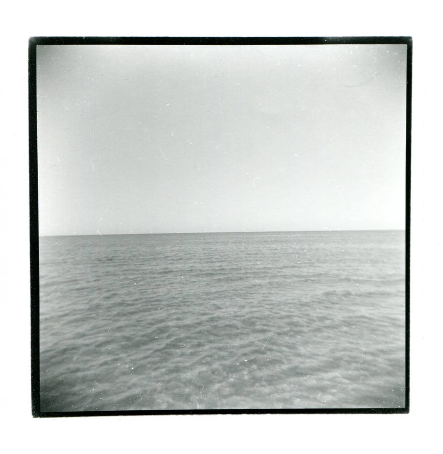 Sea of cowards by tokires on DeviantArt