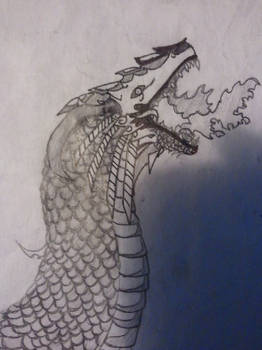 Draconis Rex Closeup