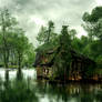 Old Cottage on Pond