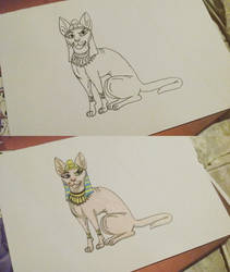 Egypt cat prince, Xer