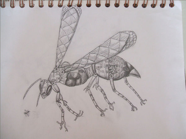 Robotic Wasp