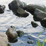 Water and Rocks [STOCK]