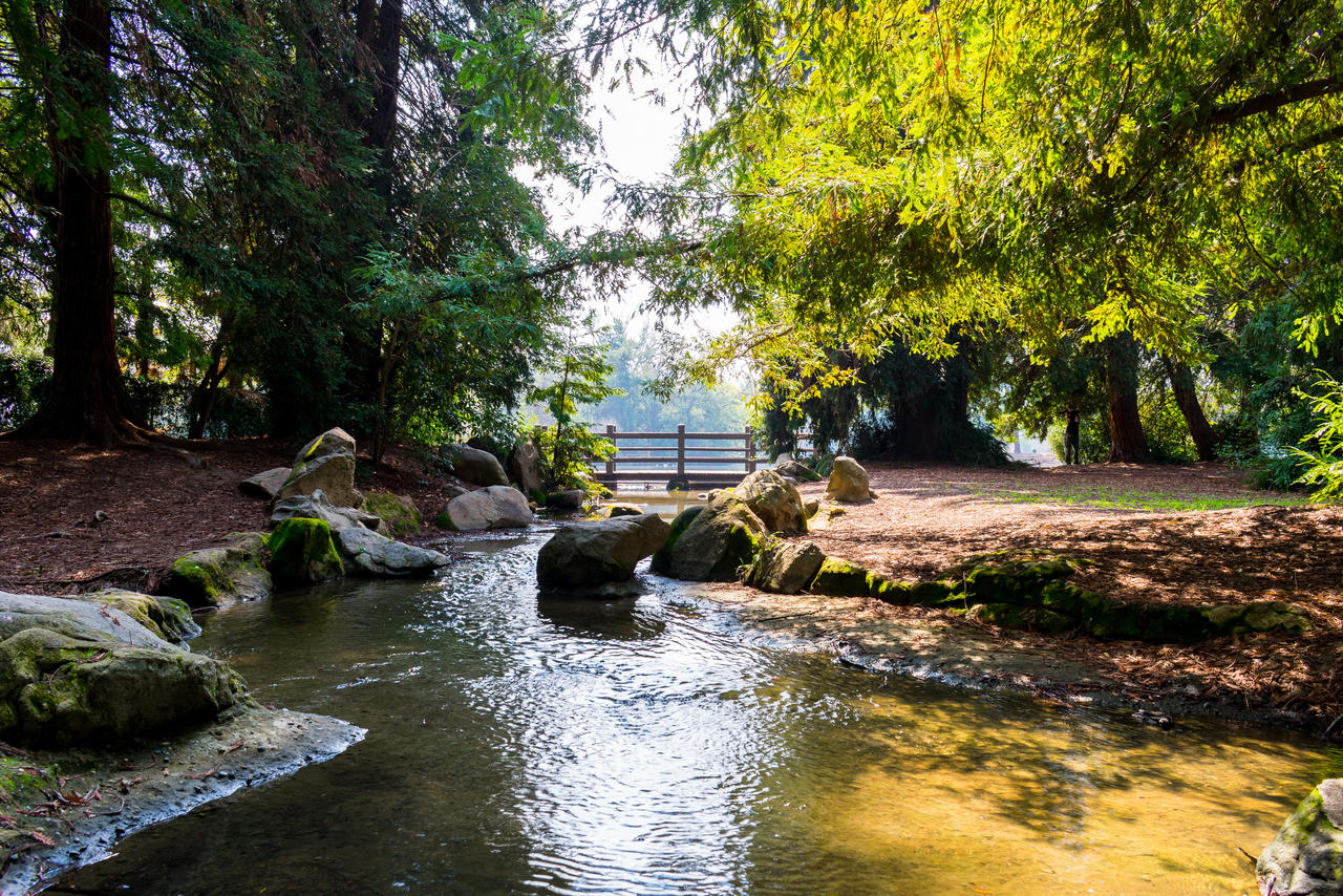 Wellman-Shew-proficient-in-401k-plans