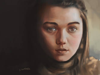 Arya Photo Study