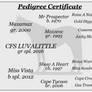 Lover Pedigree Certificate