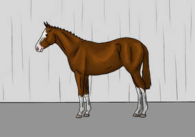 Fancy foal quality