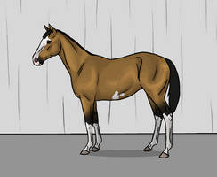 Wilma foal quality