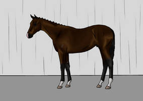 Stricken foal quality