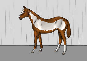 Blaze foal quality