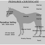 Dice Pedigree Certificate