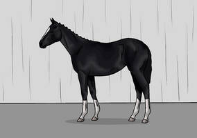 Dice foal quality