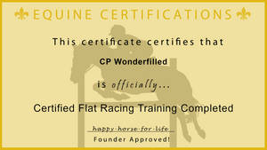 Wonder flat racing certificate