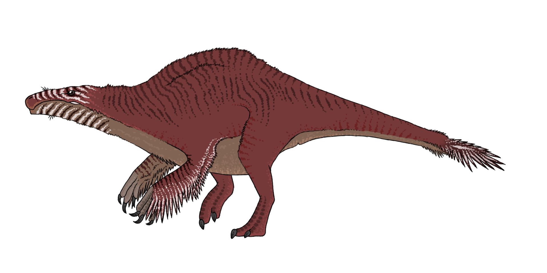 Trollmans Deviantart Deinocheirus by TrollMans on DeviantArt