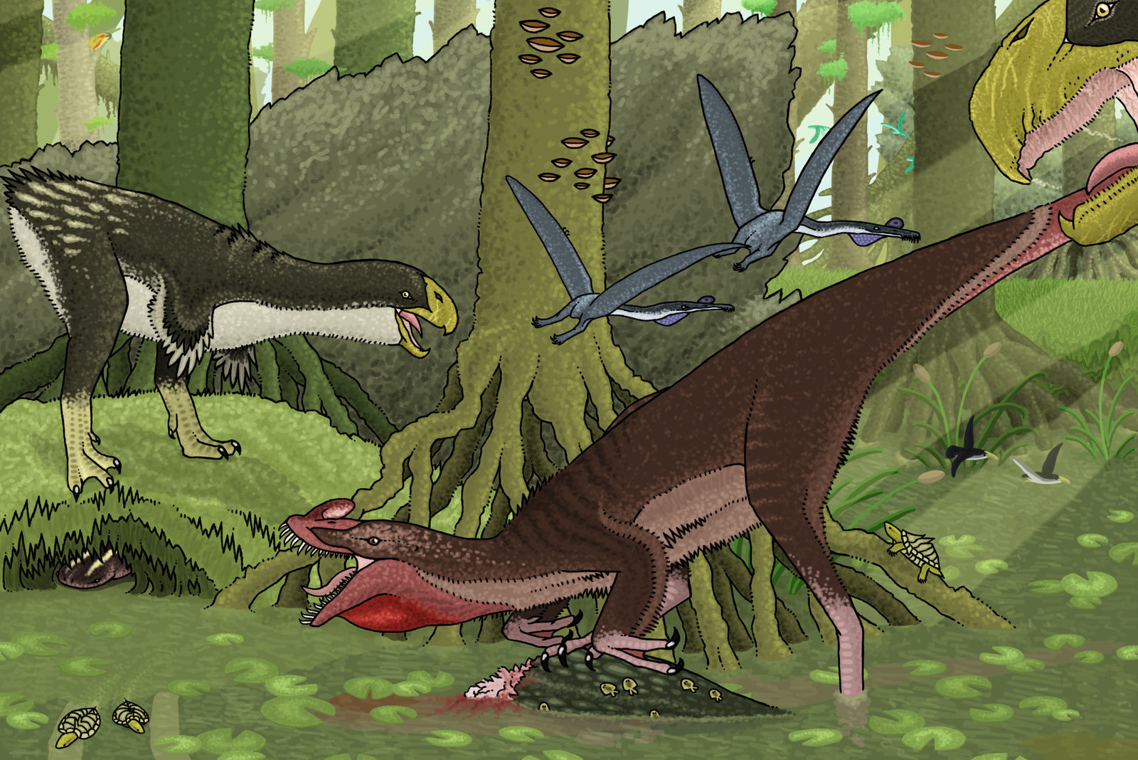 Theropod Versus Theropod