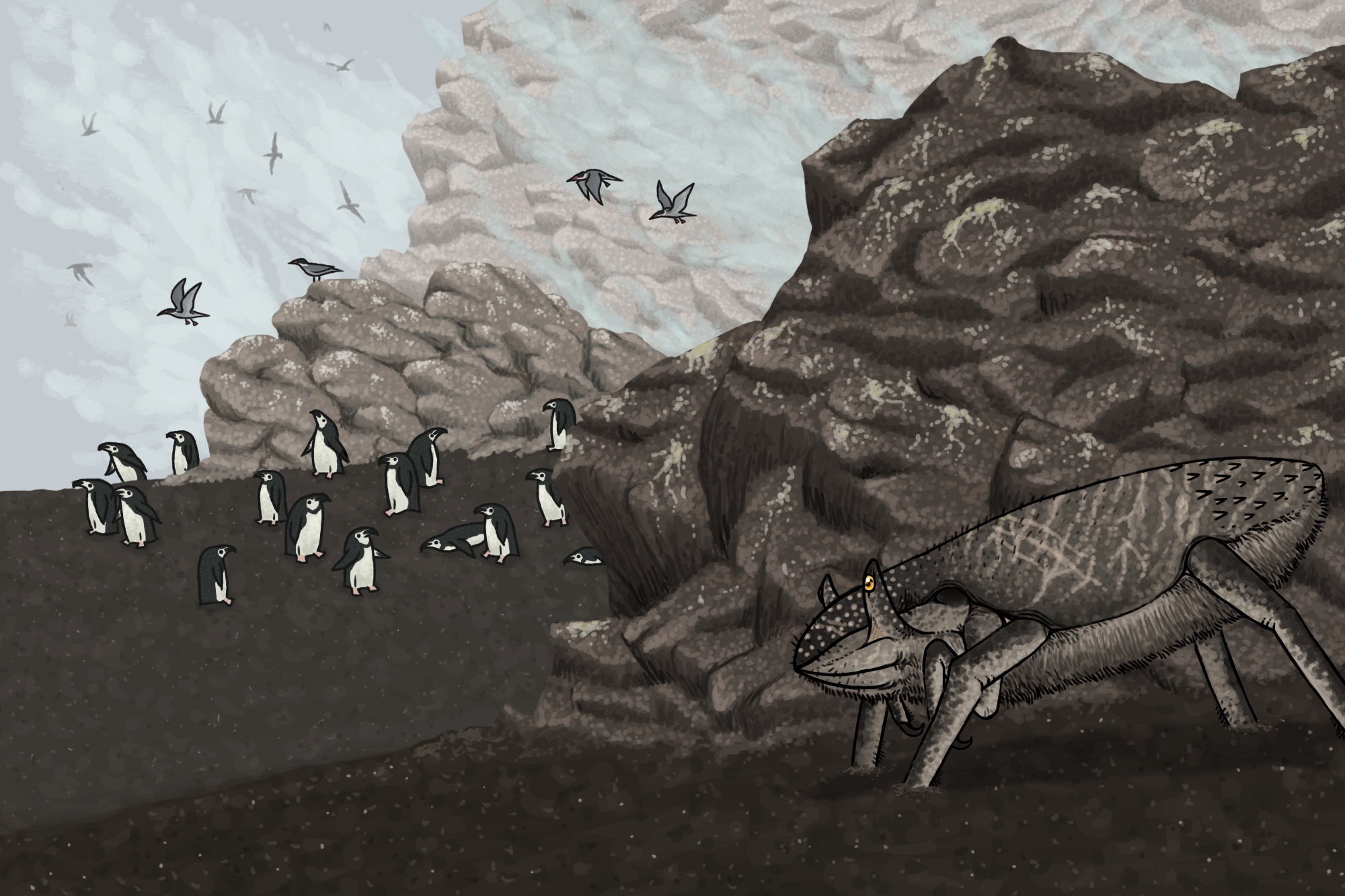 Trollmans Deviantart Precambrian Subantarctic Mollusc Superpredator by TrollMans on DeviantArt