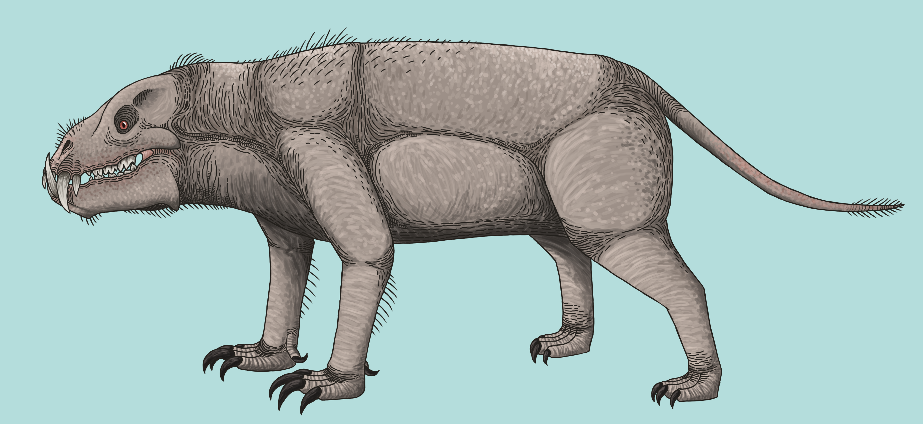 Trollmans Deviantart Indotherium by TrollMans on DeviantArt