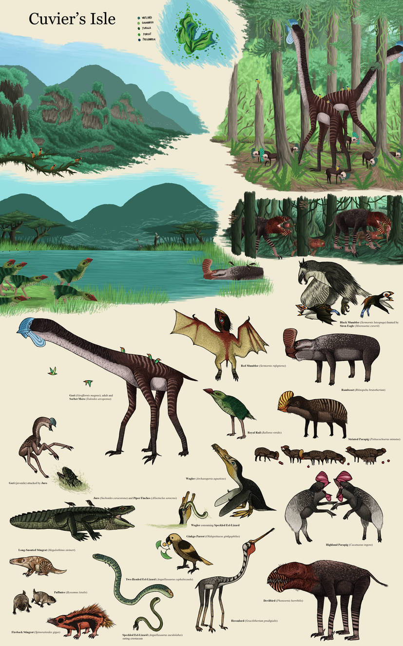 a glimpse of the fauna native to the archipelago. Art to Trollmans on DeviantArt and was for a one-shot they did. ignore it saying it's cuvier's isle