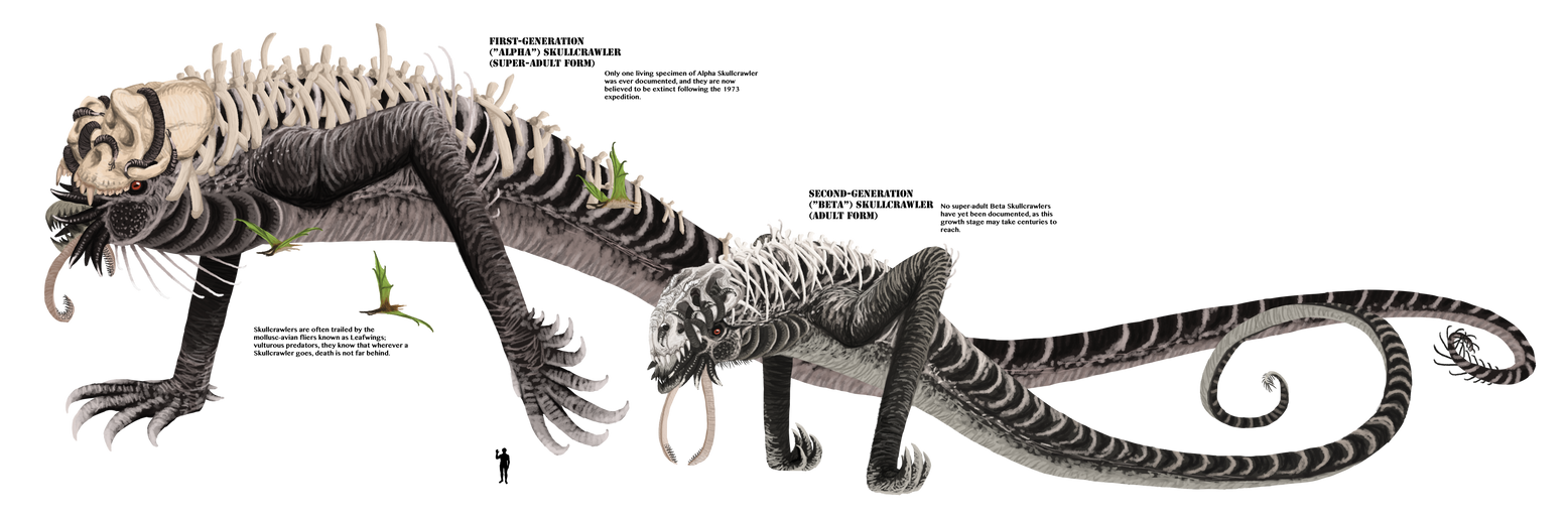 Squidcrawler by TrollMans on DeviantArt