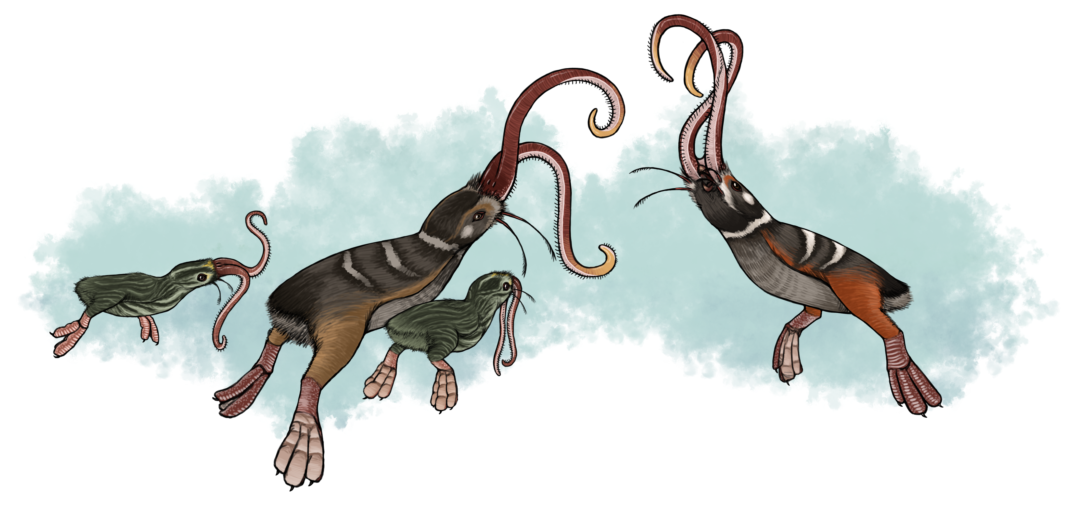 Trollmans Deviantart The Wormy Dance by TrollMans on DeviantArt