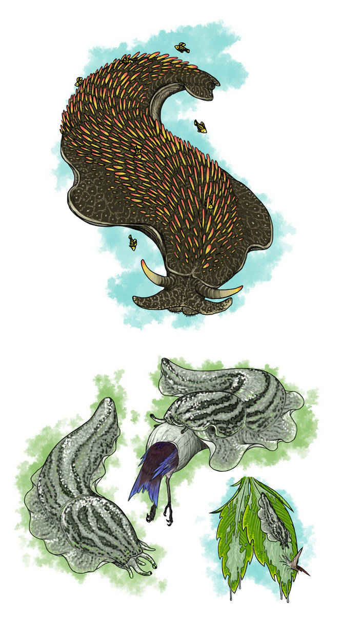 Trollmans Deviantart Giga-Gastropods of the Canary Moon by TrollMans on DeviantArt