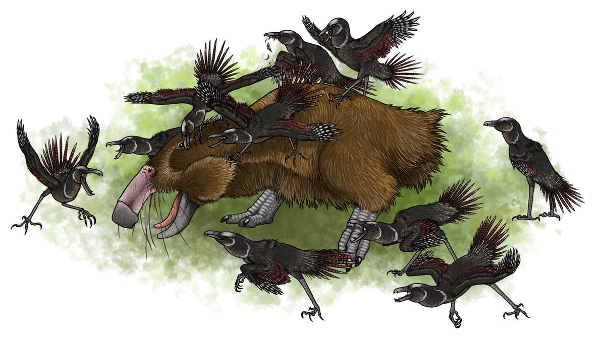 Trollmans Deviantart Snuff Snuffed by TrollMans on DeviantArt