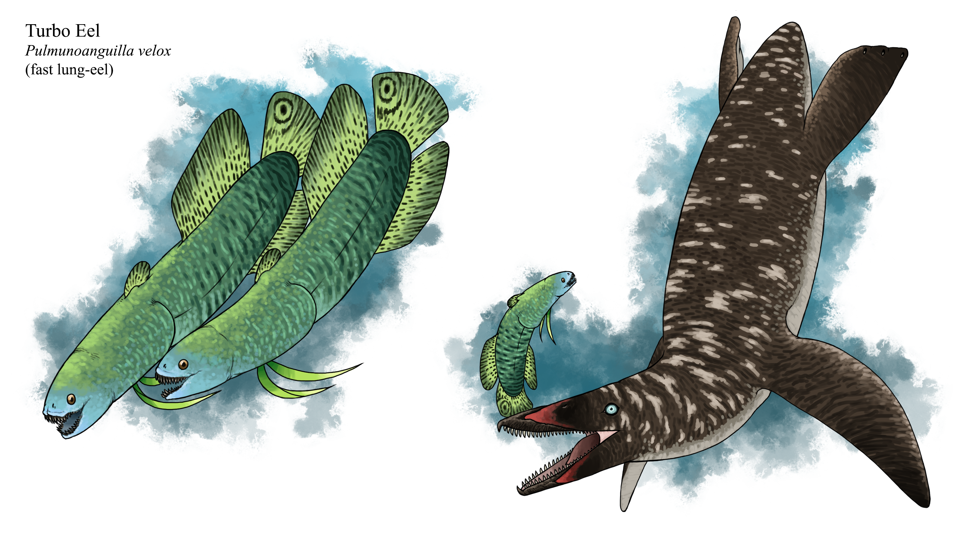 Trollmans Deviantart Turbo Eel by TrollMans on DeviantArt