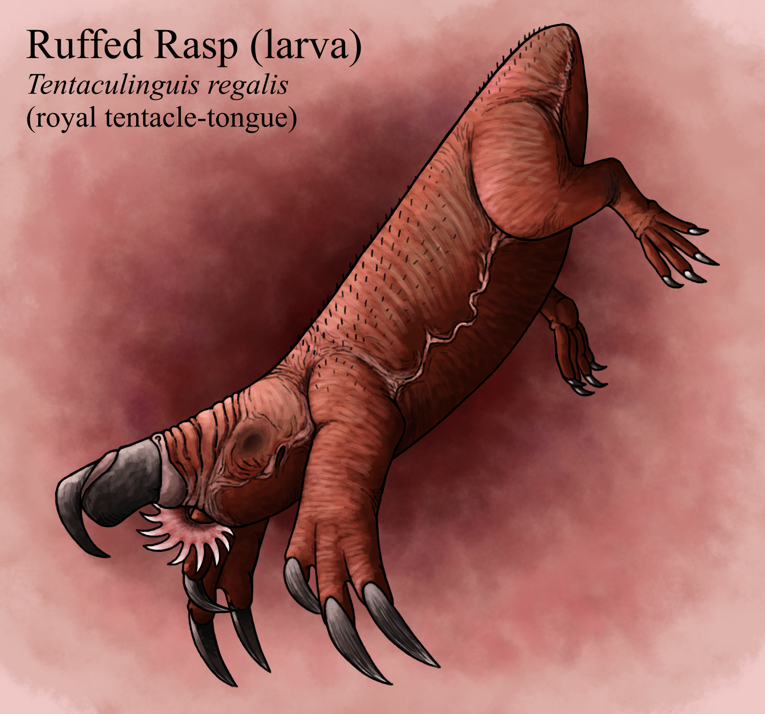 Trollmans Deviantart Ruffed Rasp (Larva) by TrollMans on DeviantArt