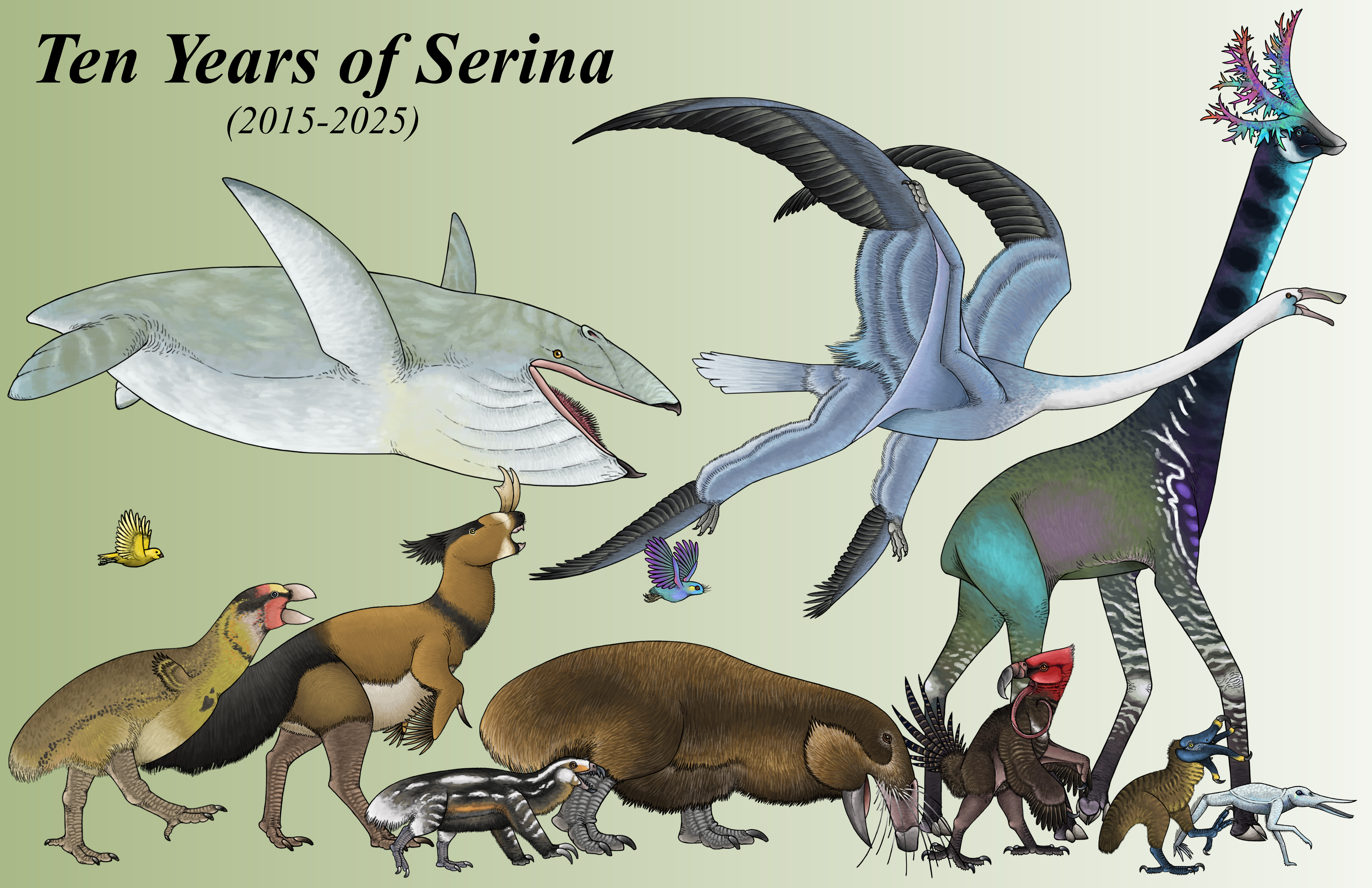 Trollmans Deviantart Serina's 10th Anniversary by TrollMans on DeviantArt