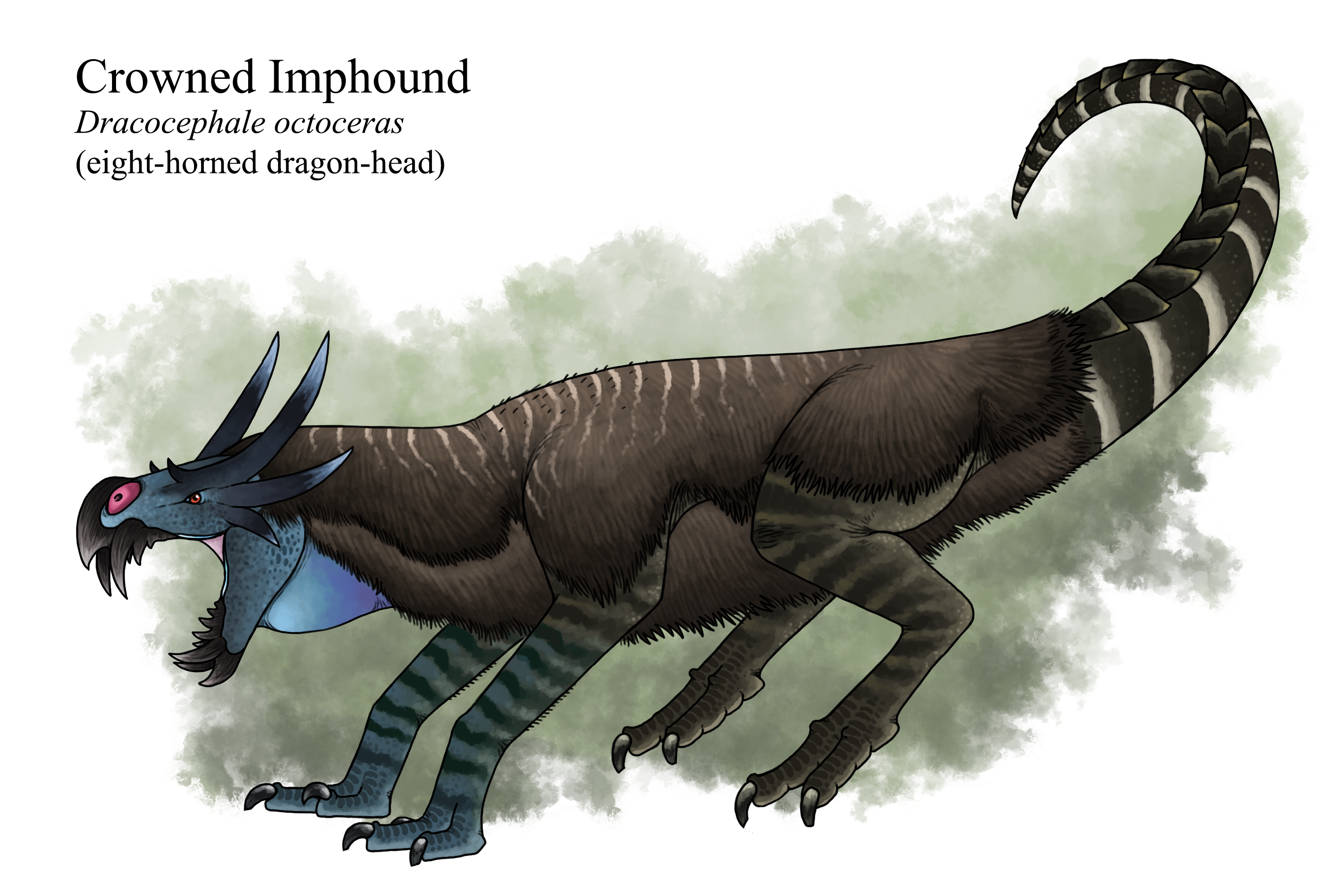Trollmans Deviantart Crowned Imphound by TrollMans on DeviantArt