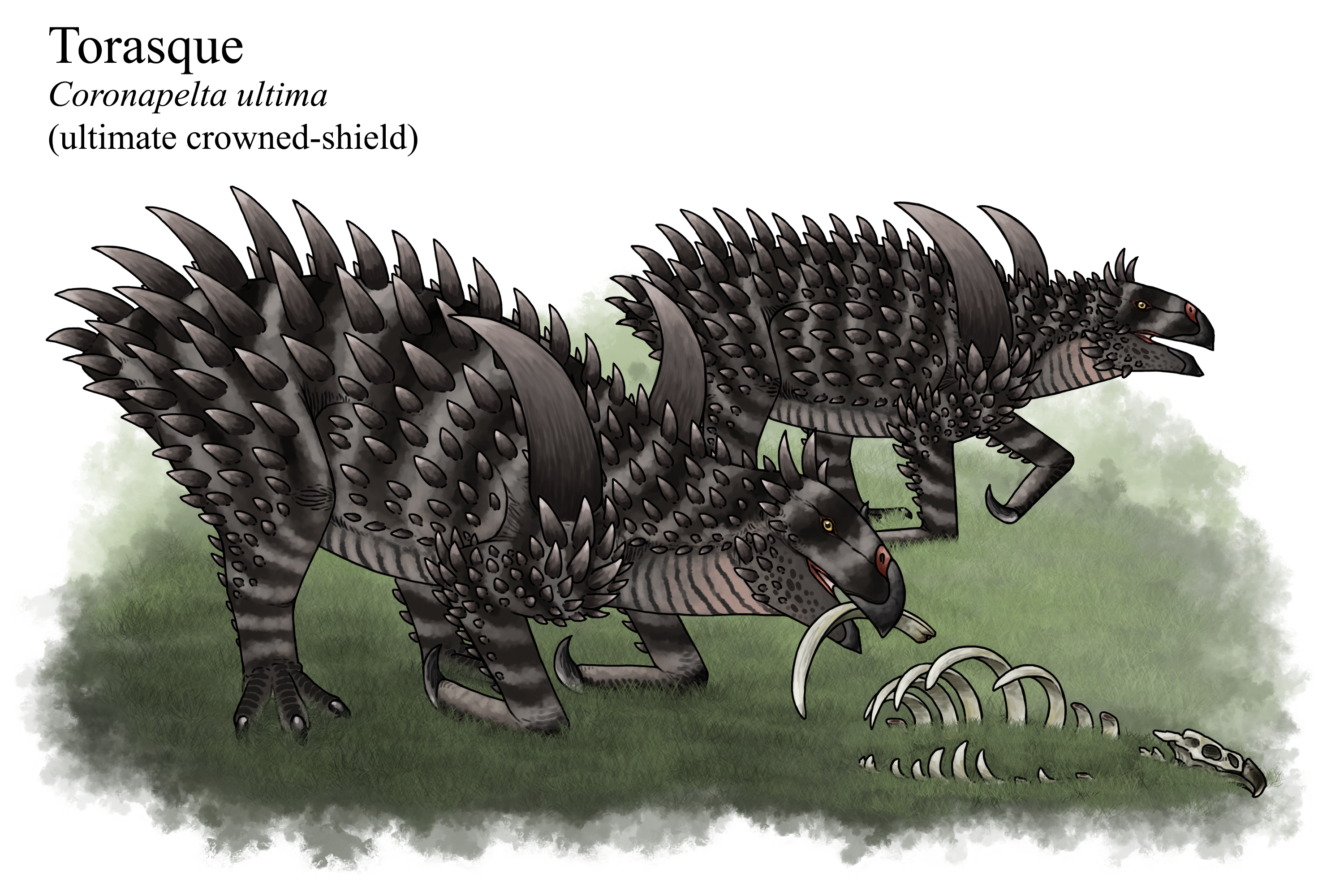 Trollmans Deviantart Torasque by TrollMans on DeviantArt