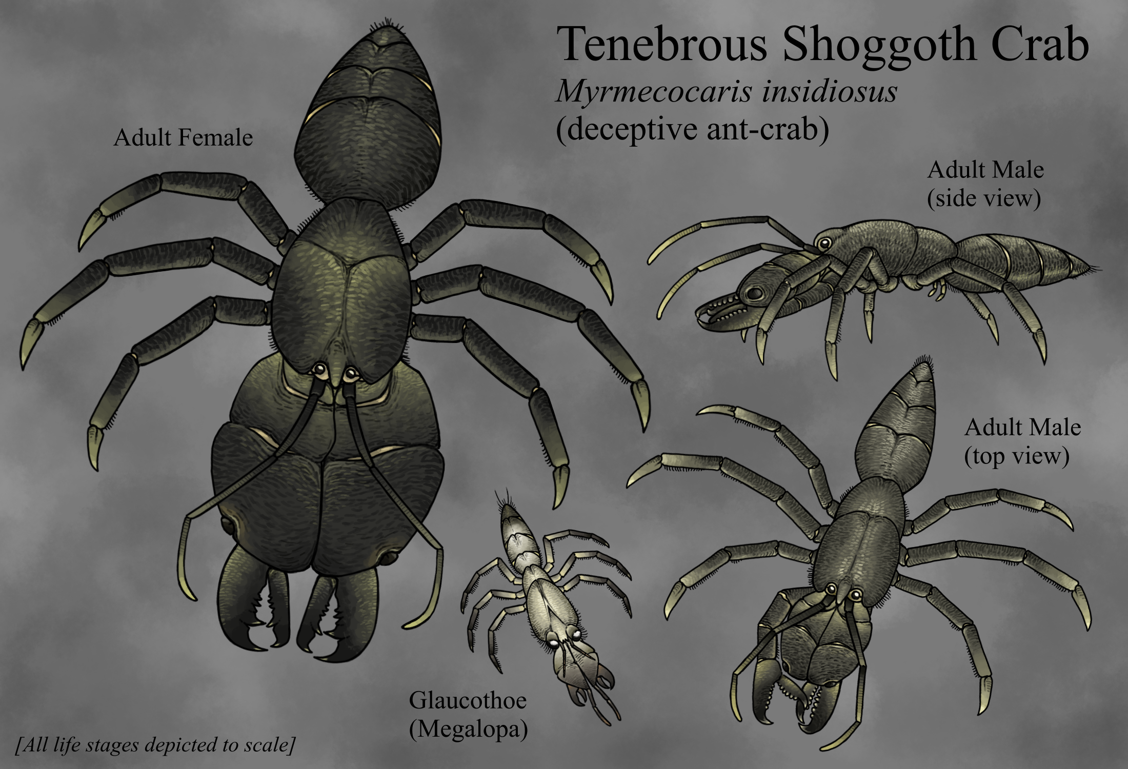 Trollmans Deviantart Tenebrous Shoggoth Crab by TrollMans on DeviantArt