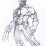 Wolverine