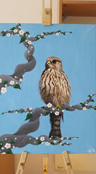 Mrs Kestrel