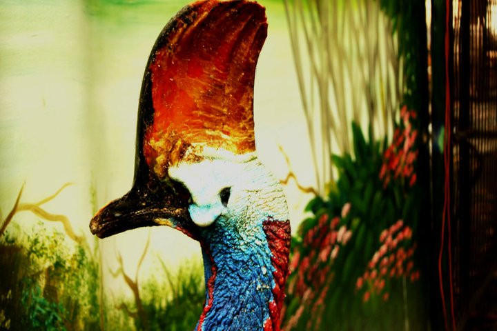 Colors of Rarity by Raphael041 on DeviantArt