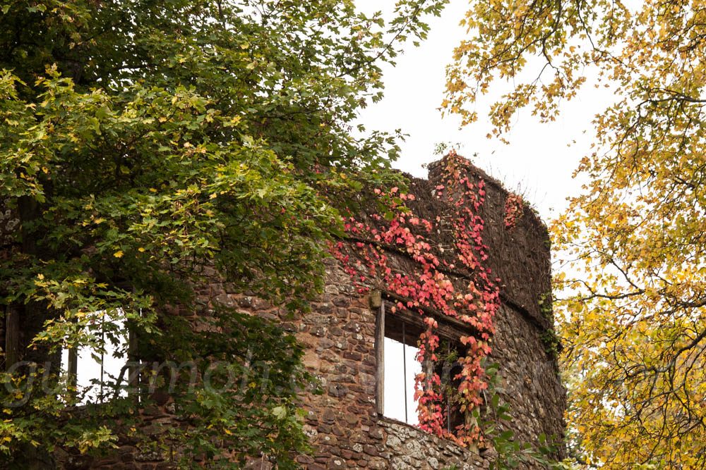 Red on the ruins