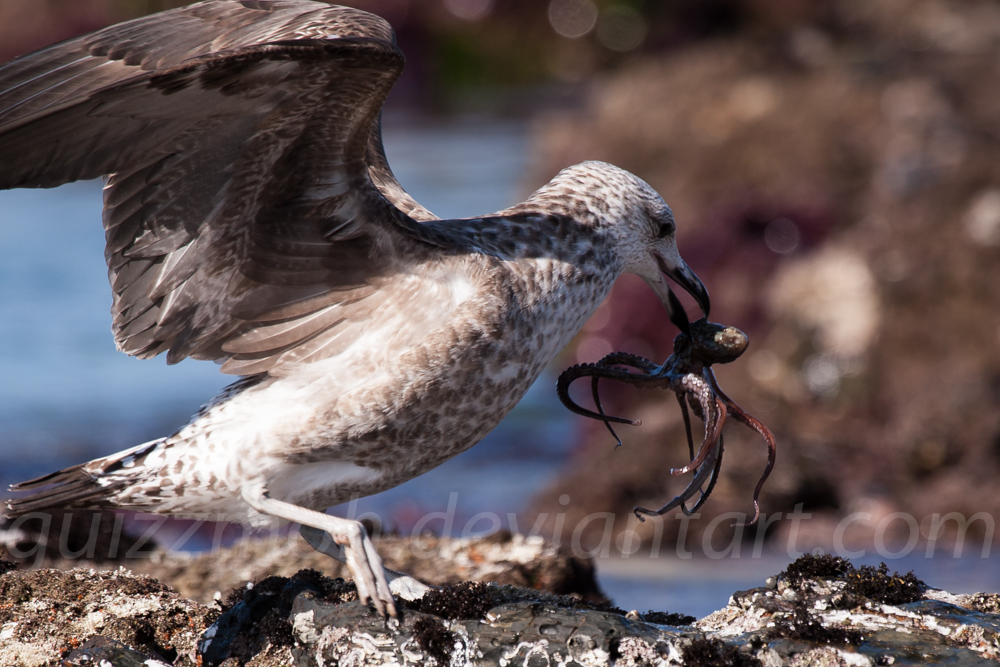 A wriggling morsel