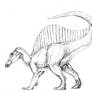 Spinosaurus Concept Sketch