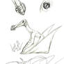Ornithocheirous Sketches