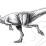 A running Pachycephalosaurus