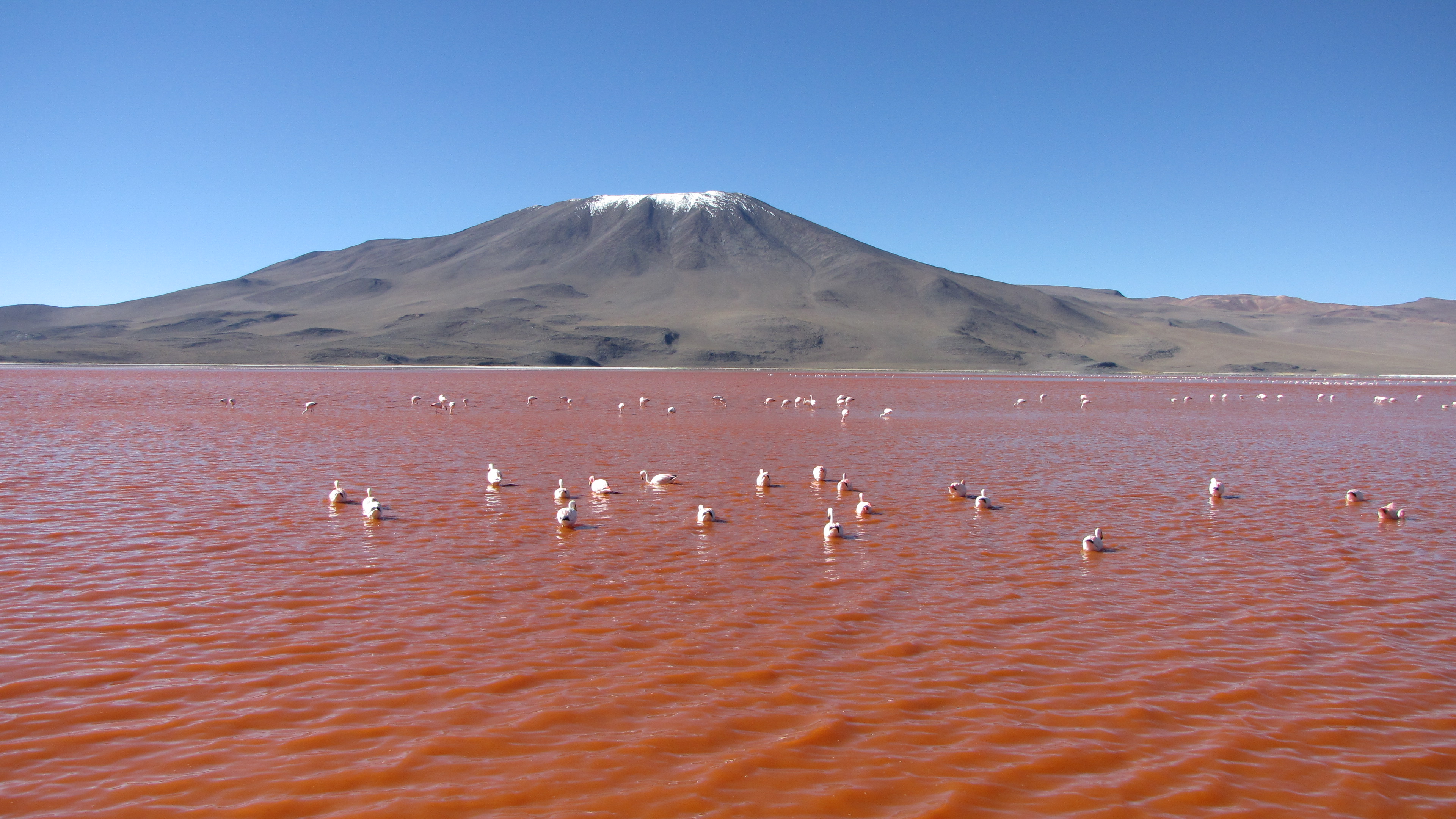 Laguna Colorada