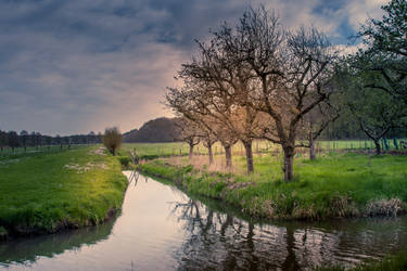 Heuvelrug en omstreken