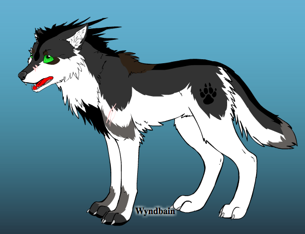 Wolfie wolf: main character