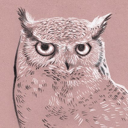 Owly Owl