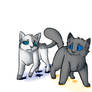 Warrior cats 4