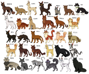 Every Warrior Cat - A