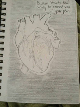 human heart??