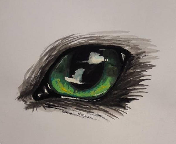 Green Eye #LittleSketch