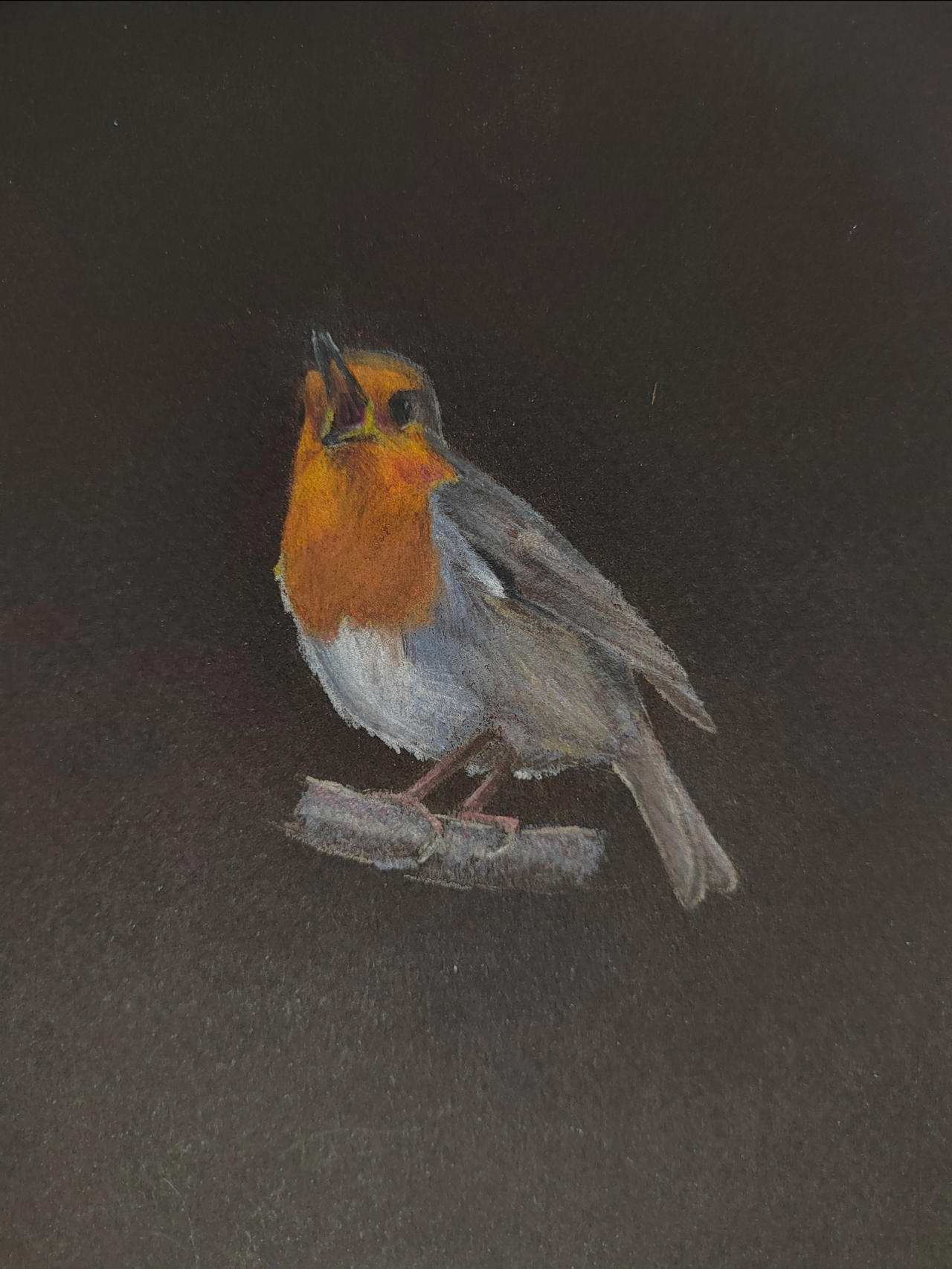 The scream of Robin 3/3