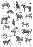 French horse breeds